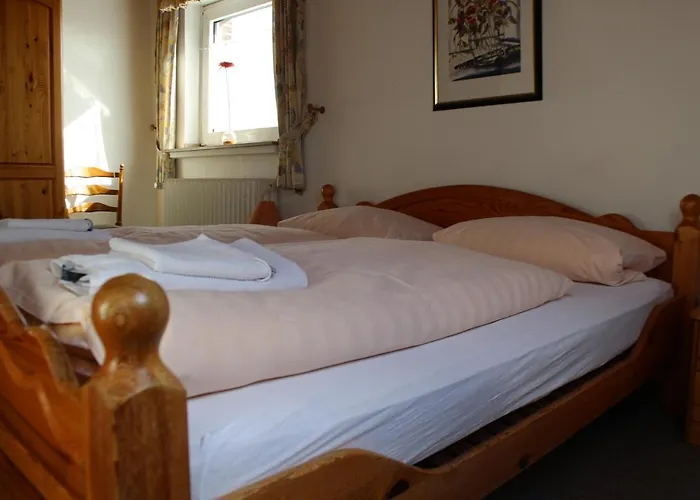 酒店 Hotel-restaurant Olympia *